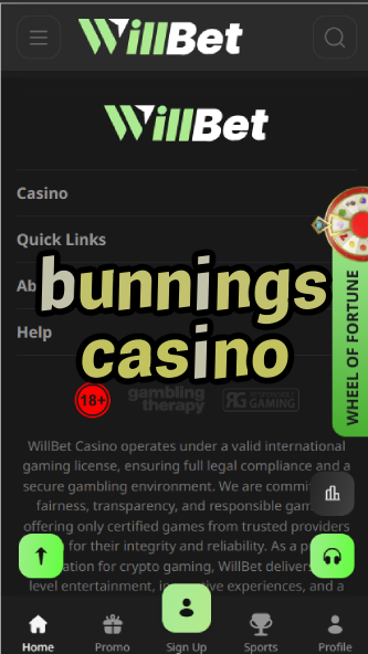 Bunnings Casino - Hardware-Themed Casino Games-casinoorder.vip